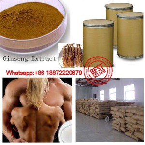 China Source Factory Sale Ginseng Root Extract