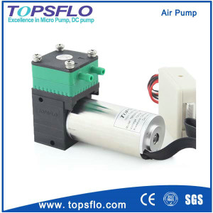 Small DC 6V 12V 24V Diaphragm Air Pump/Mini Vacuum Pump/Diaphragm Pump/Pressure Pump/Compressor Air
