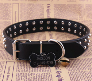 Pet Product Dog Cat Leather Collar (C007)