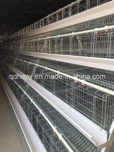 Poultry Equipment Chicken Cage From Qingdao, China